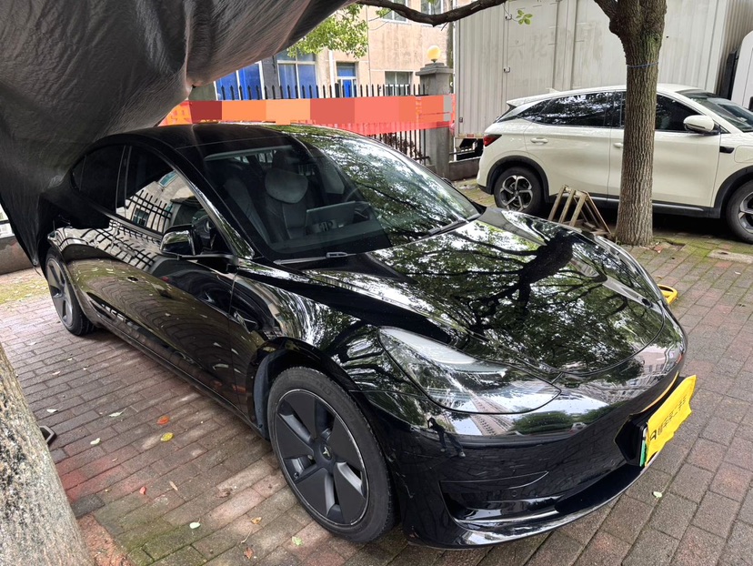 Tesla Model 3 2023 #3 Tesla Model 3 2023 car image #3