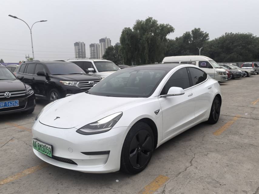 Tesla Model 3 (Imported) 2020 car image 