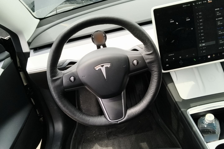 Tesla Model 3 2021 #15 Tesla Model 3 2021 car image #15