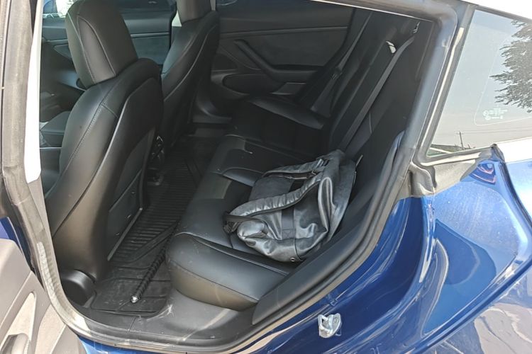 Tesla Model 3 2020 car image #17