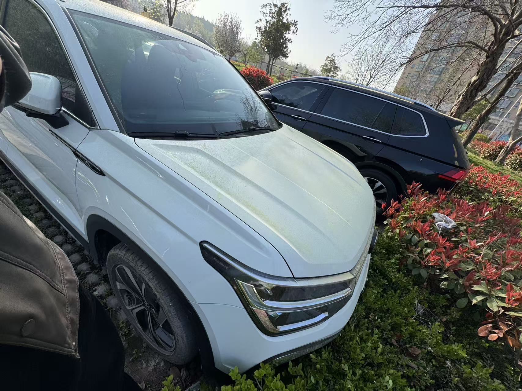 Volkswagen Tharu 2023 car image #2