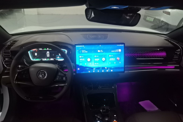 BYD Han 2021 car image #10