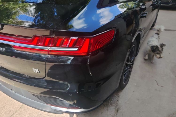 BYD Han 2022 car image #8