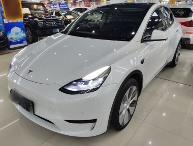 Tesla Model Y 2022 Tesla Model Y 2022 car image