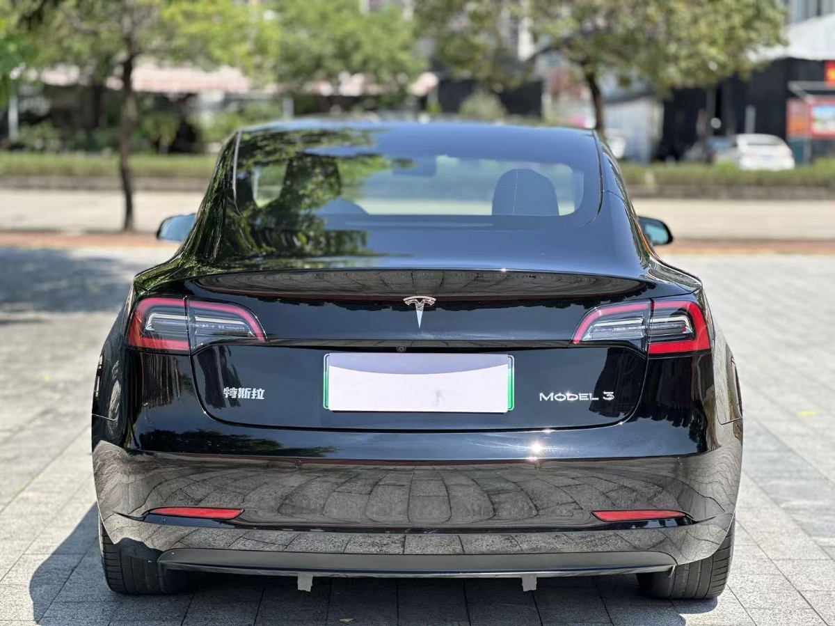 Tesla Model 3 2021 #8 Tesla Model 3 2021 car image #8