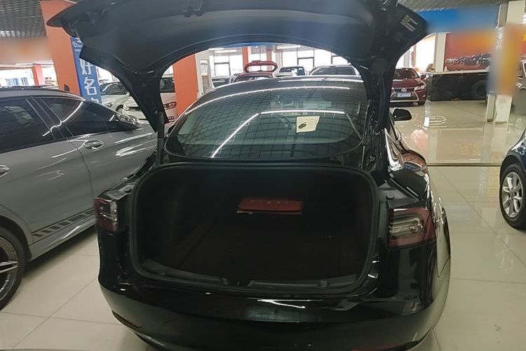 Tesla Model 3 2023 #19 Tesla Model 3 2023 car image #19