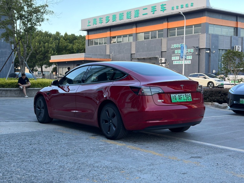 Tesla Model 3 2021 car image #6