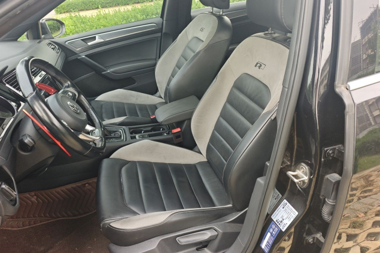 Volkswagen Golf 2019 #17 Volkswagen Golf 2019 car image #17
