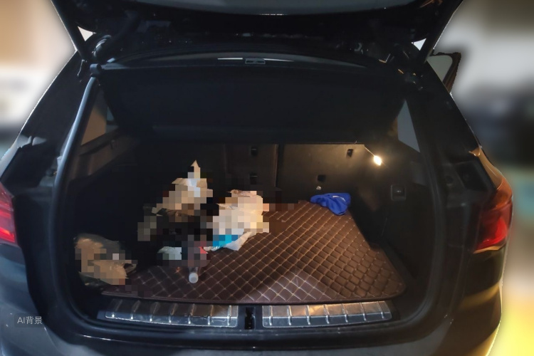 BMW X1 2018 #21 BMW X1 2018 car image #21