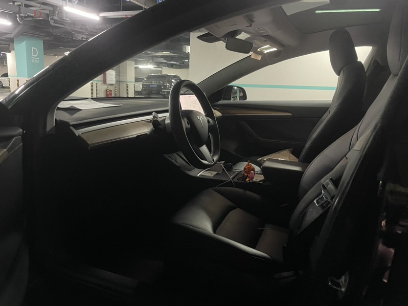 Tesla Model 3 2021 #2 Tesla Model 3 2021 car image #2