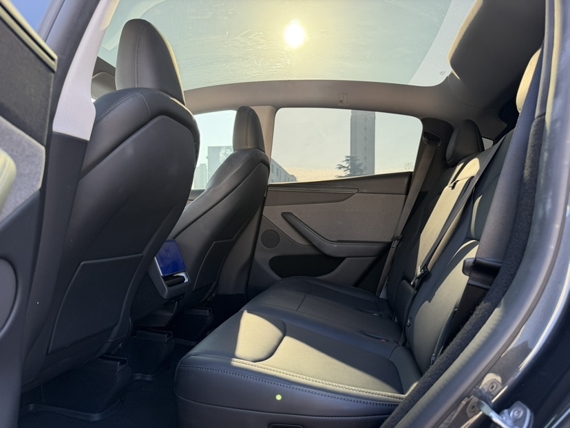 Tesla Model Y 2025 car image #5