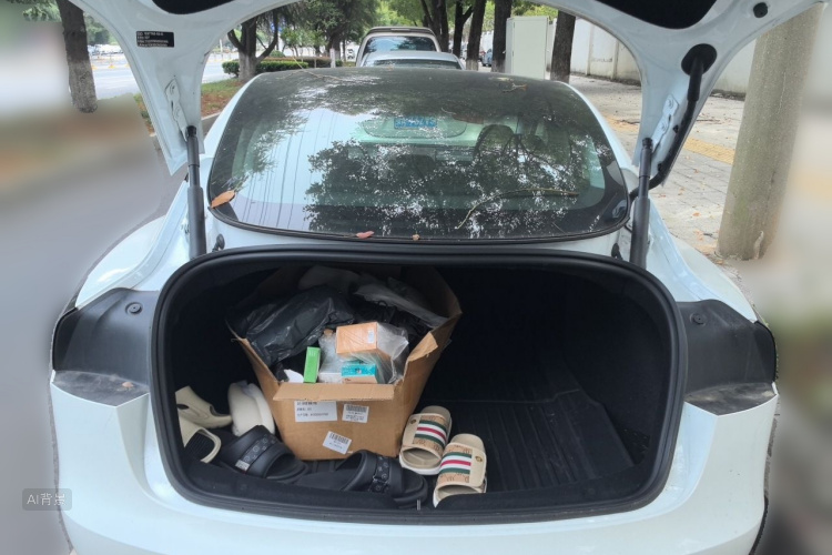 Tesla Model 3 2025 car image #21