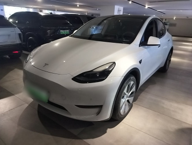 Tesla Model Y 2021 immagine di auto 
