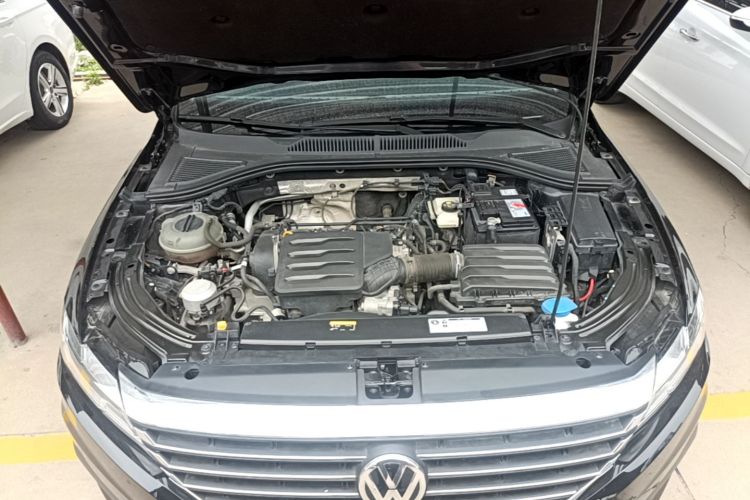 Volkswagen Lavida 2019 car image #20