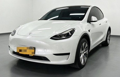 Tesla Model Y 2023 Tesla Model Y 2023 car image