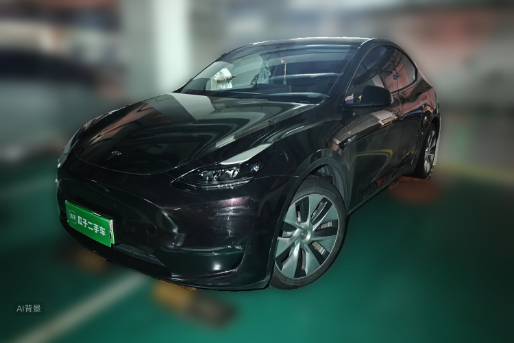 Tesla Model Y 2022 #2 Tesla Model Y 2022 car image #2