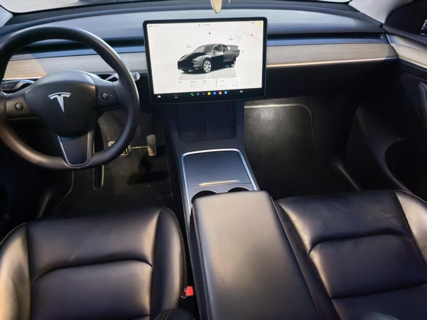Tesla Model Y 2023 car image #6