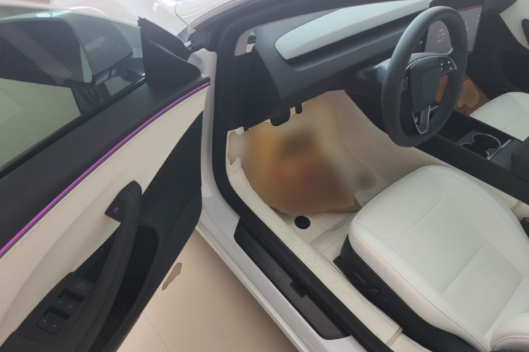 Tesla Model 3 2025 immagine di auto #16