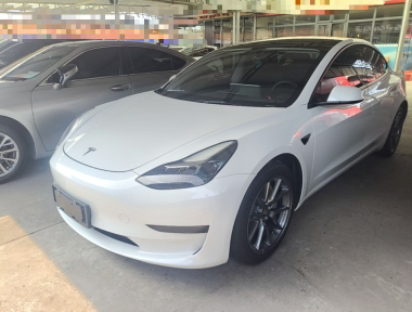 Tesla Model 3 2021 car image 