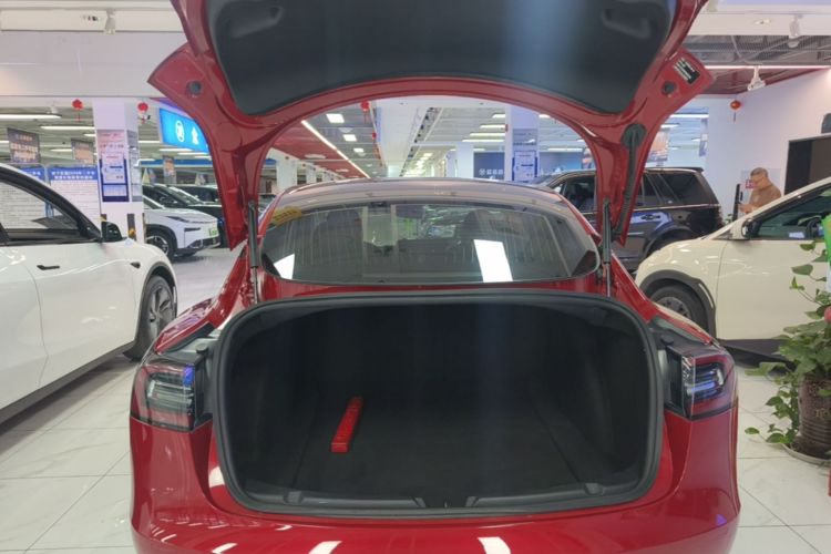 Tesla Model 3 2020 car image #19
