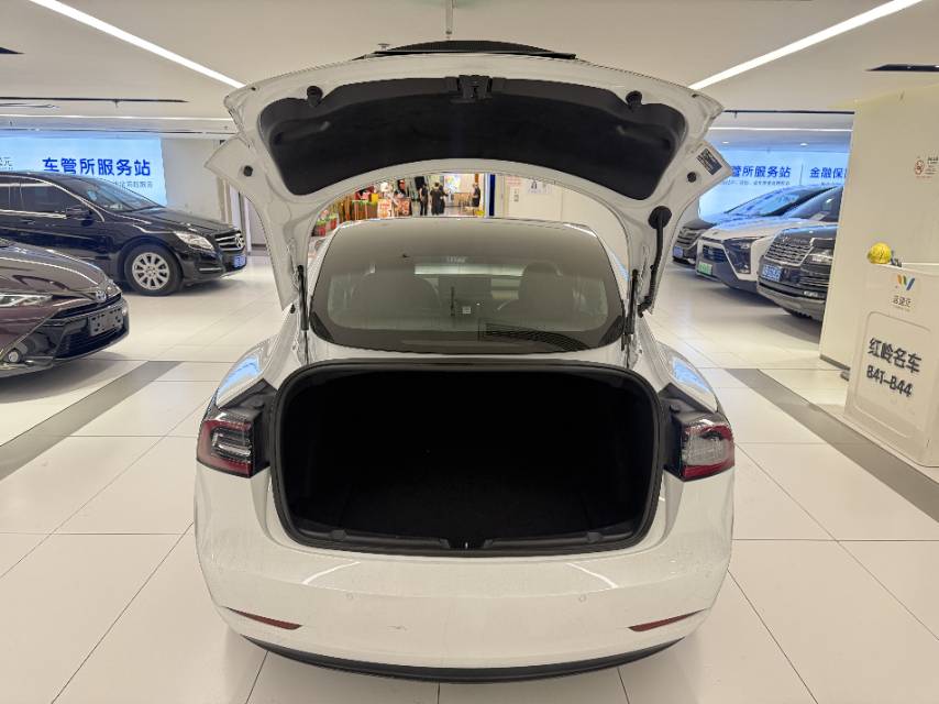 Tesla Model 3 2020 صورة سيارة #4