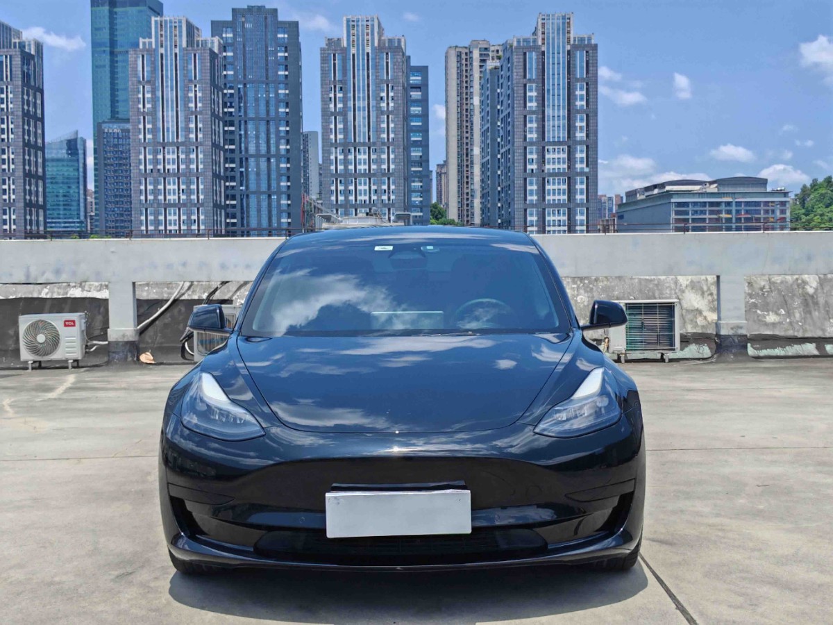 Tesla Model 3 2022 car image #2