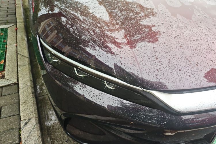 BYD Han 2024 car image #8