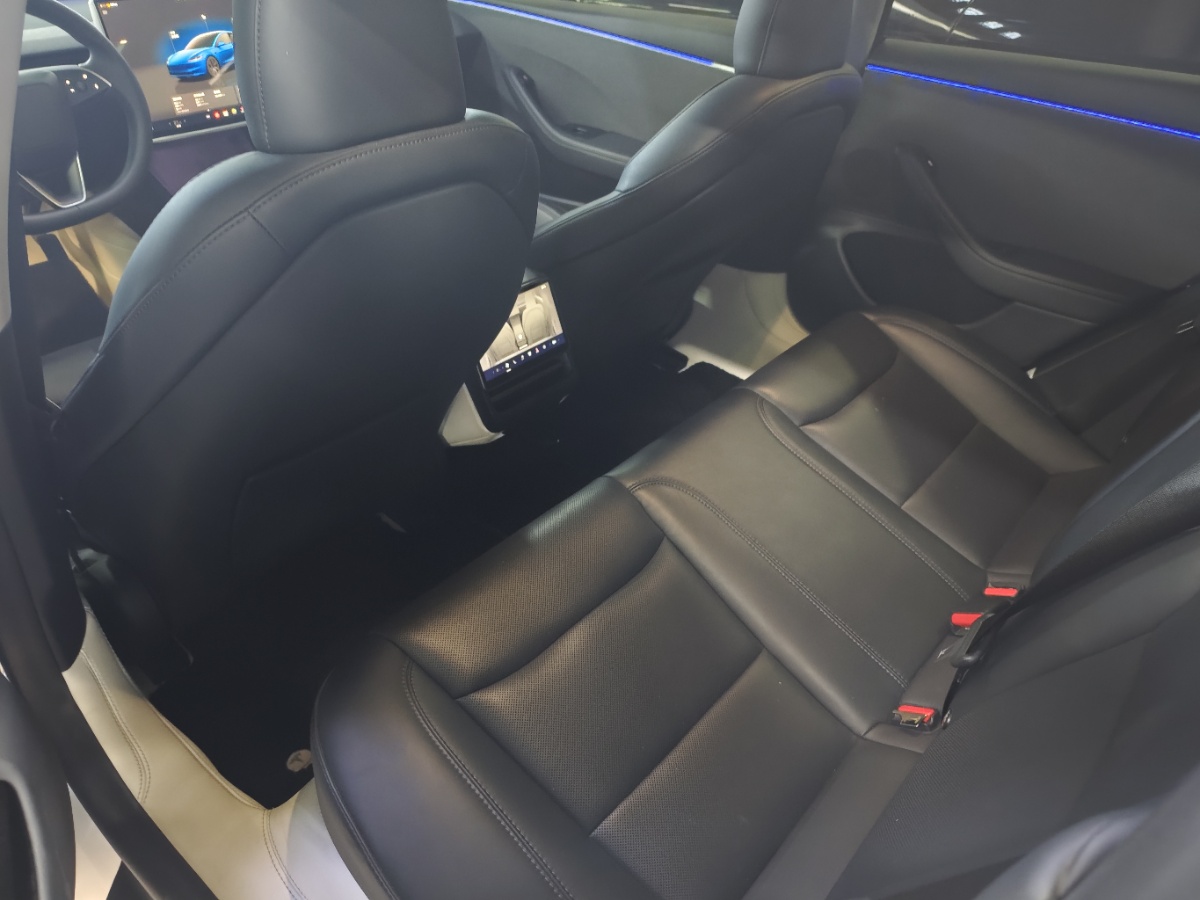Tesla Model 3 2024 #5 Tesla Model 3 2024 car image #5