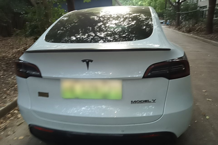 Tesla Model Y 2023 #6 Tesla Model Y 2023 car image #6