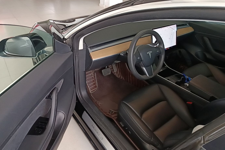 Tesla Model 3 2020 car image #16