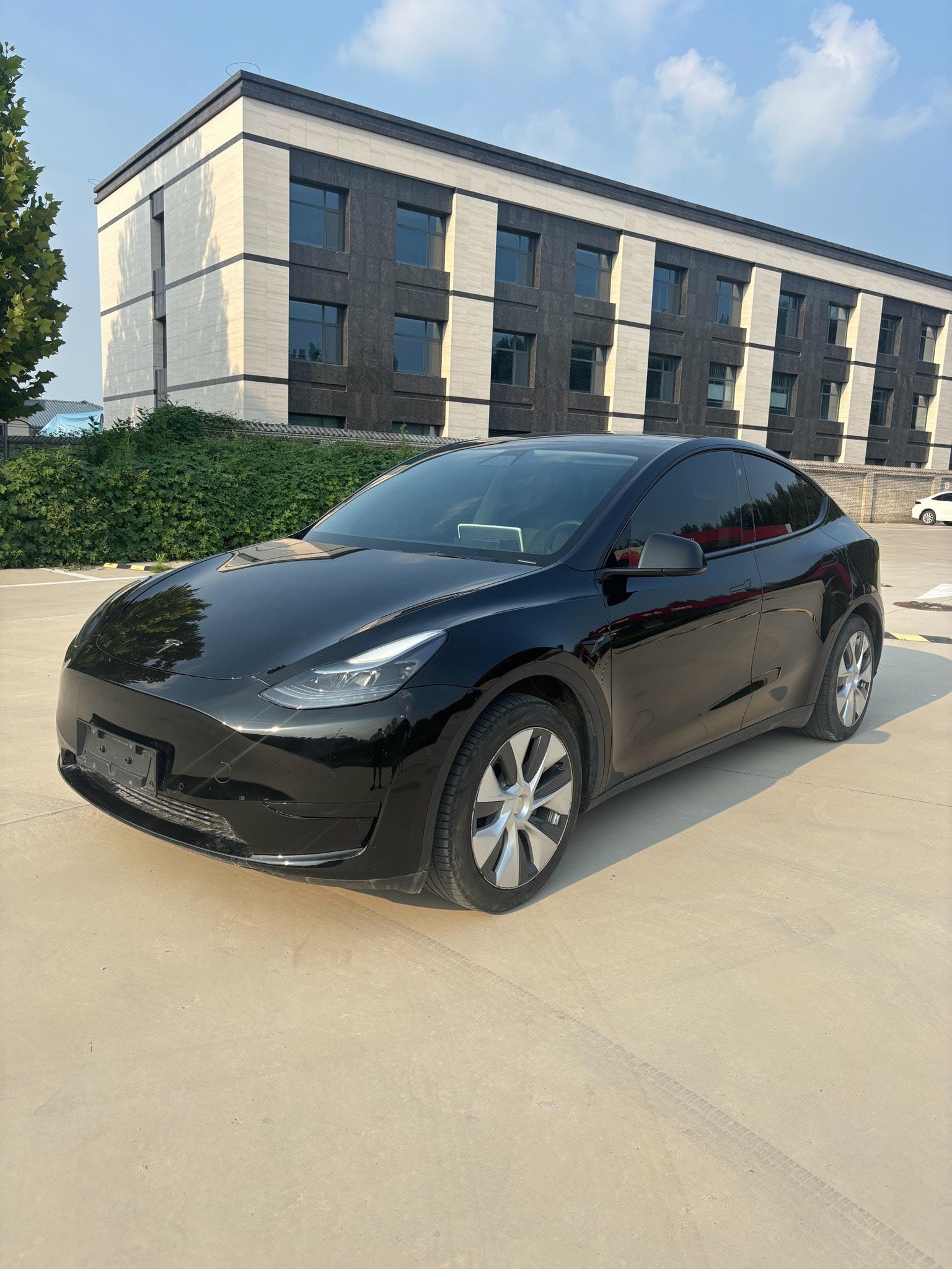 Tesla Model Y 2023 Tesla Model Y 2023 car image
