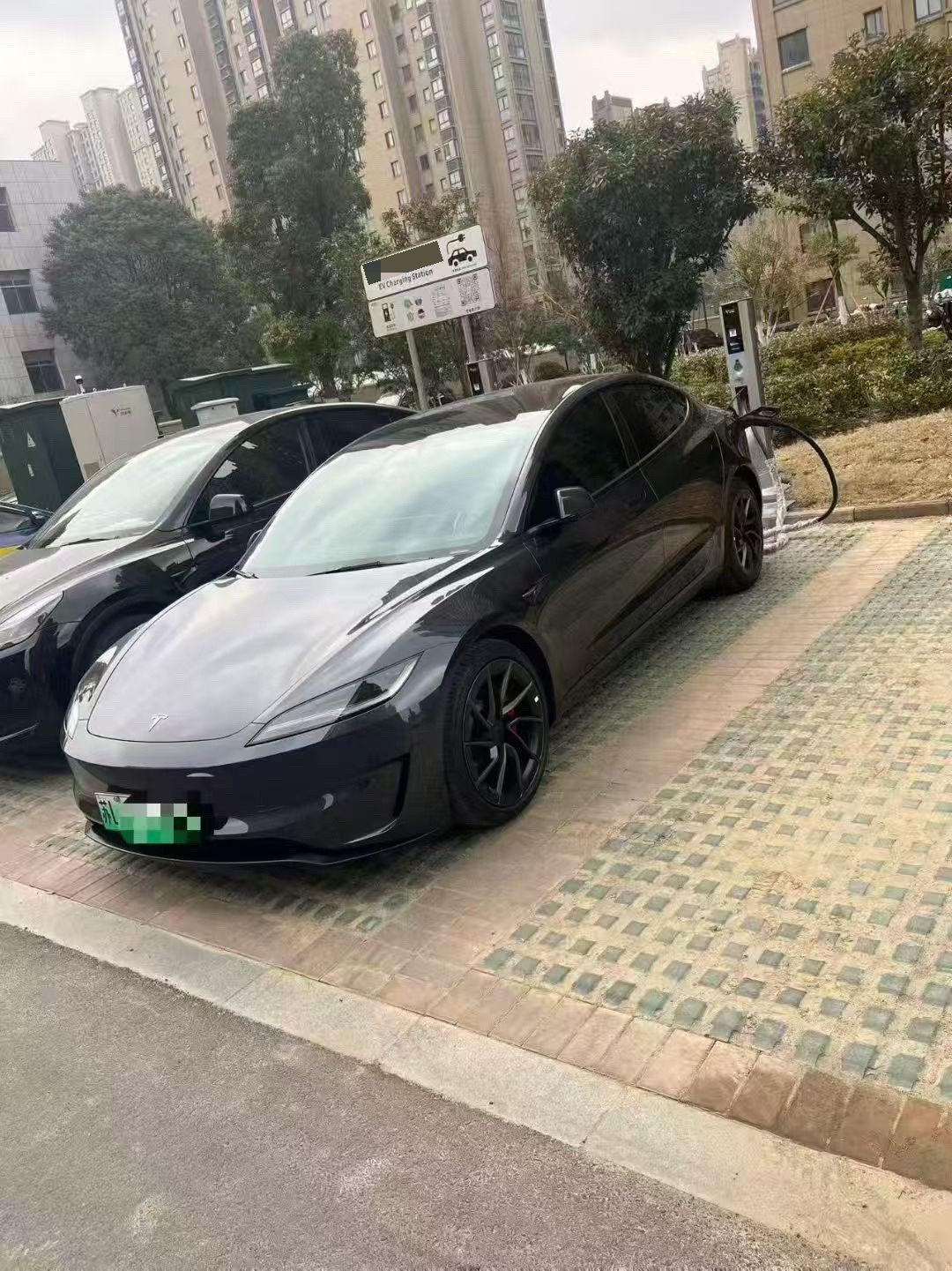 Tesla Model 3 2024 car image 