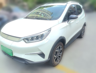 BYD Yuan Pro 2022 car image 