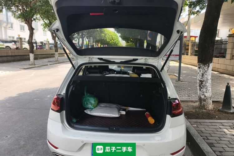 Volkswagen Golf 2020 car image #21