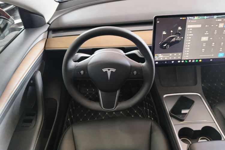 Tesla Model 3 2021 car image #11