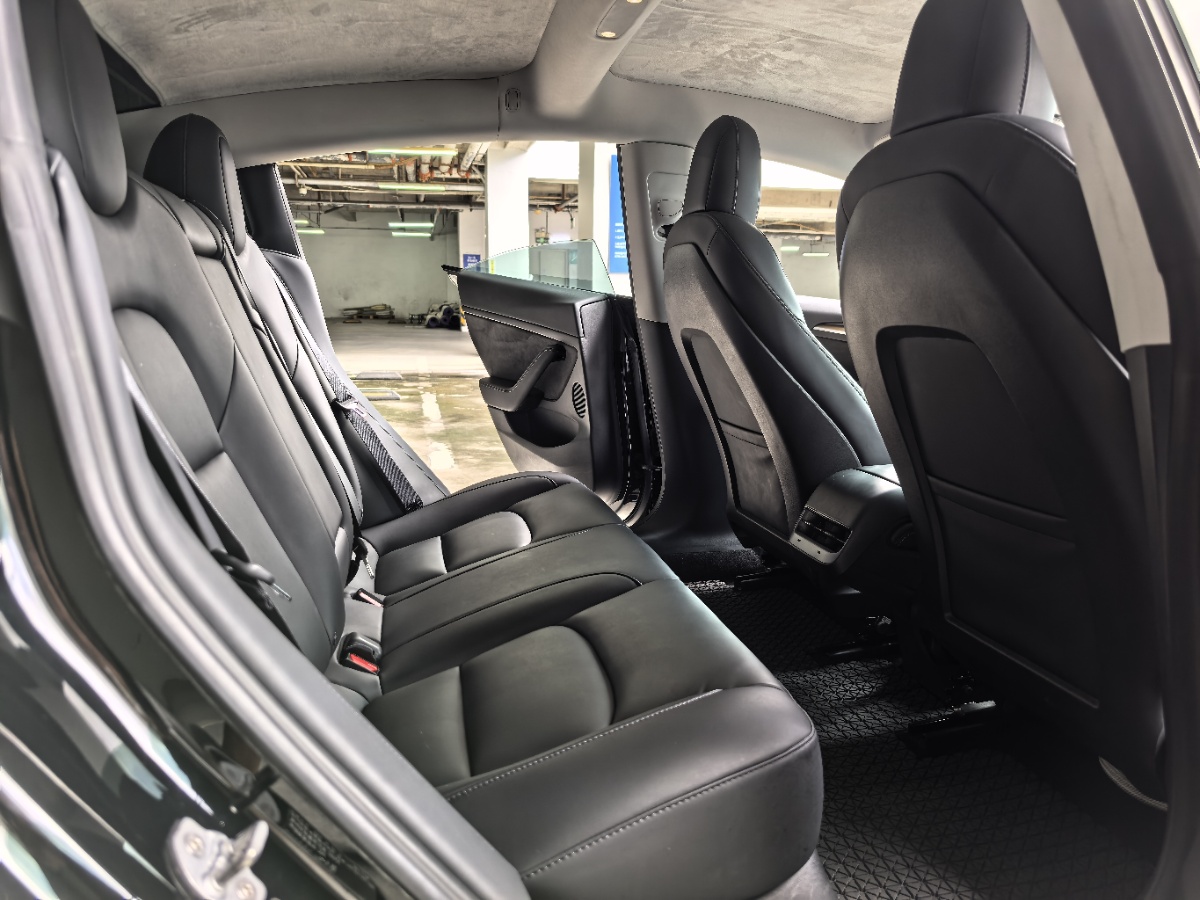 Tesla Model 3 2021 #8 Tesla Model 3 2021 car image #8