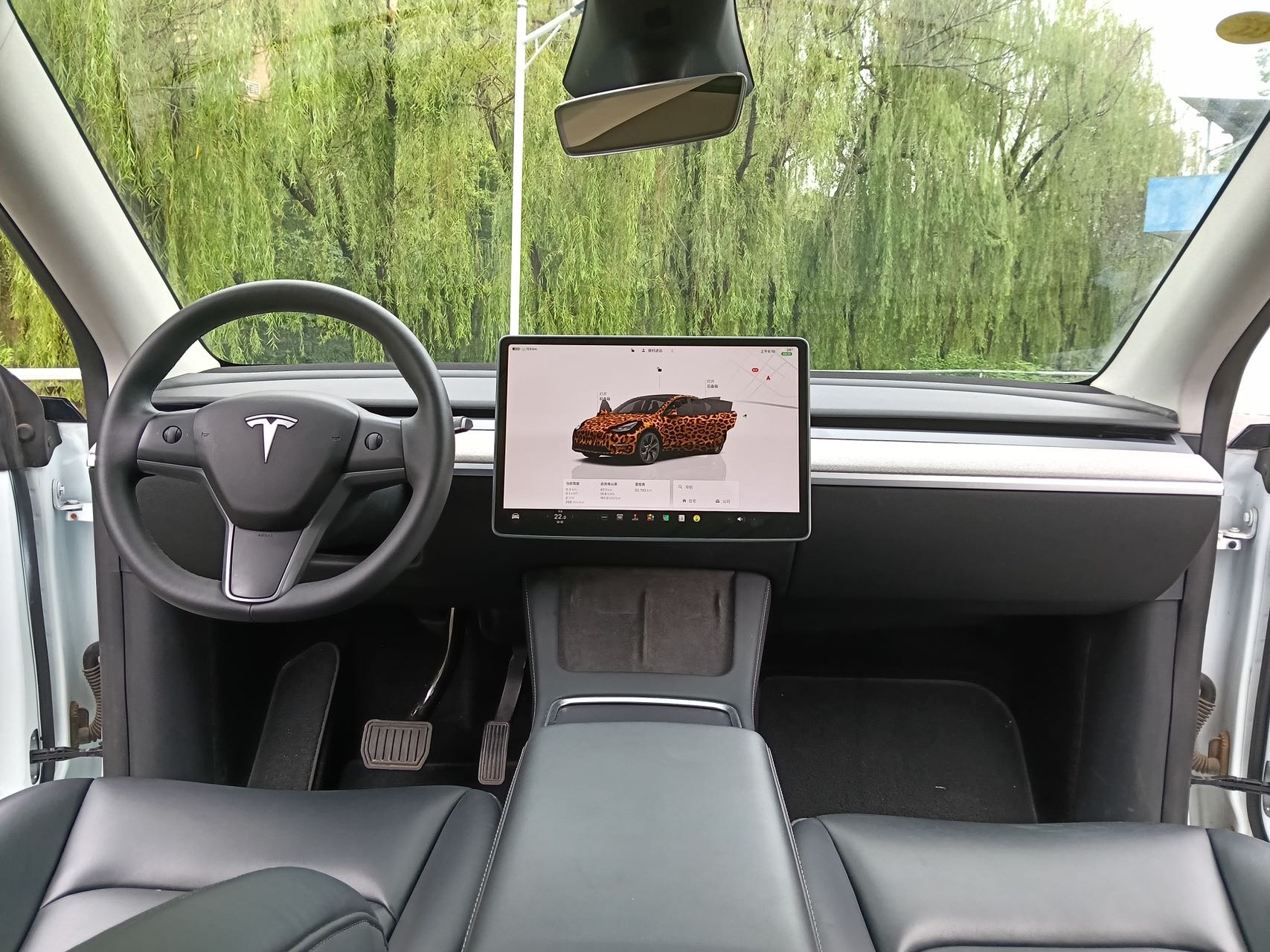 Tesla Model Y 2024 car image #6