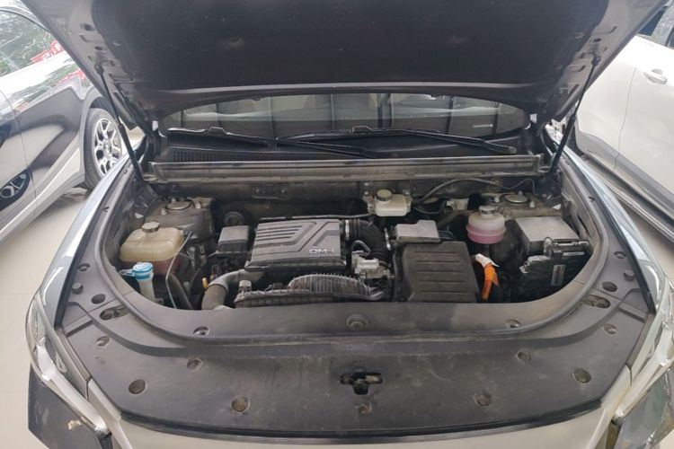 BYD Song Pro New Energy 2024 immagine di auto #22