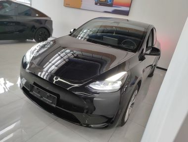 Tesla Model Y 2023 car image 