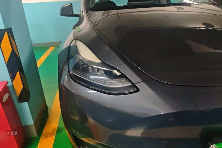 Tesla Model Y 2021 car image #8