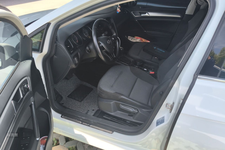 Volkswagen Golf 2019 #17 Volkswagen Golf 2019 car image #17