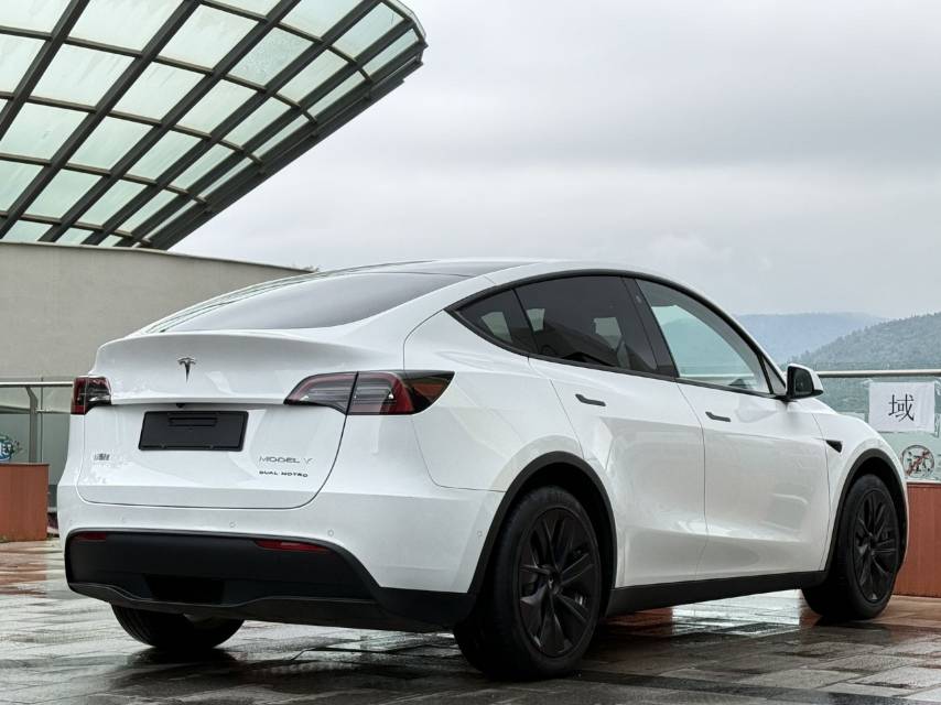 Tesla Model Y 2021 car image #14