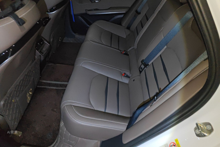 比亚迪 汉 2022 汽车图片 #19