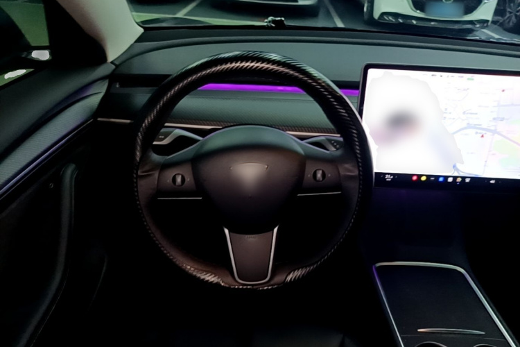 Tesla Model 3 2021 car image #16