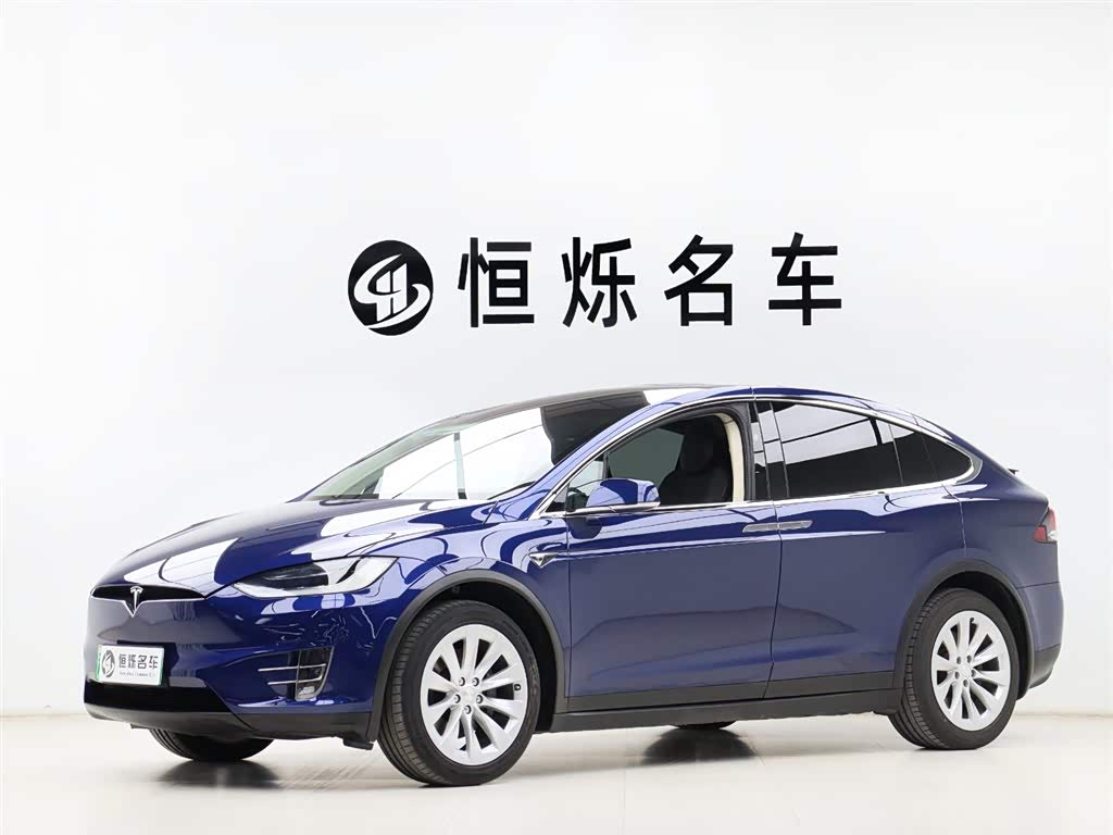 Tesla Model X 2017 car image 