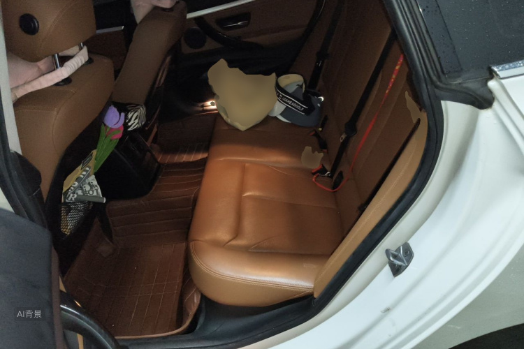 BMW 3 Series 2016 car image #19