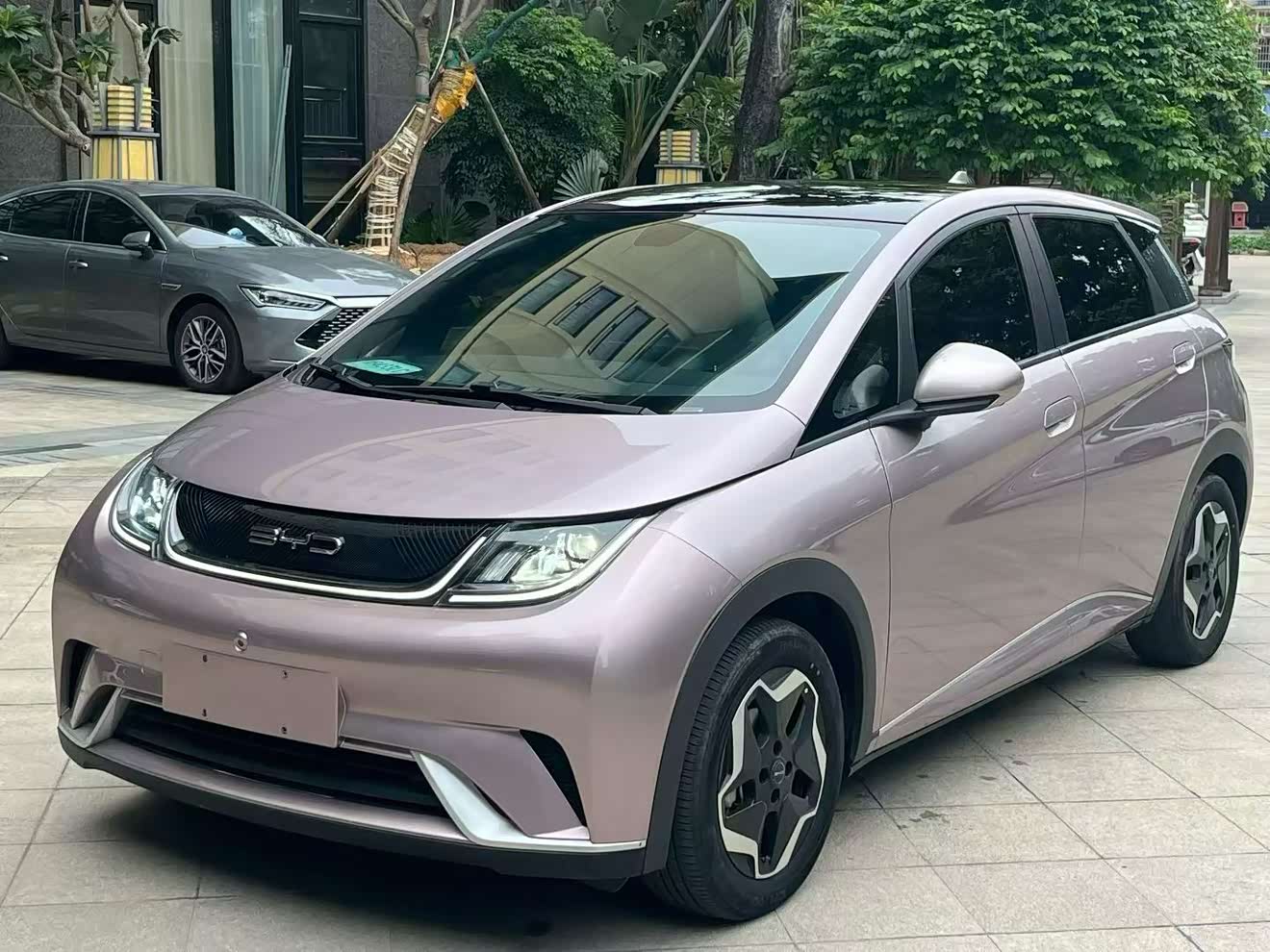 BYD Dolphin 2022 car image 