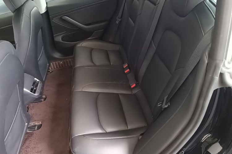 Tesla Model 3 2020 car image #17