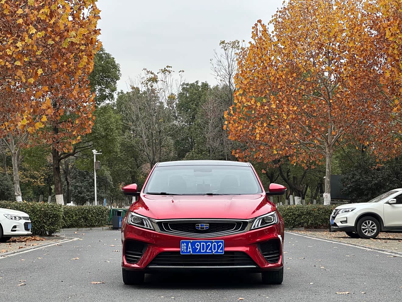 GEELY Binray 2018 imagen de coche 