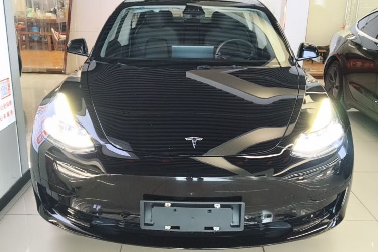 Tesla Model 3 2021 #3 Tesla Model 3 2021 car image #3